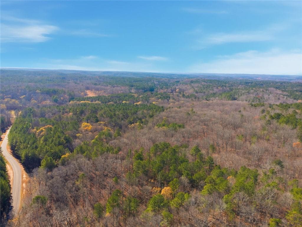 unimproved land for sale at 0 Creel Road, Fairburn, GA 30213 — photo 3
