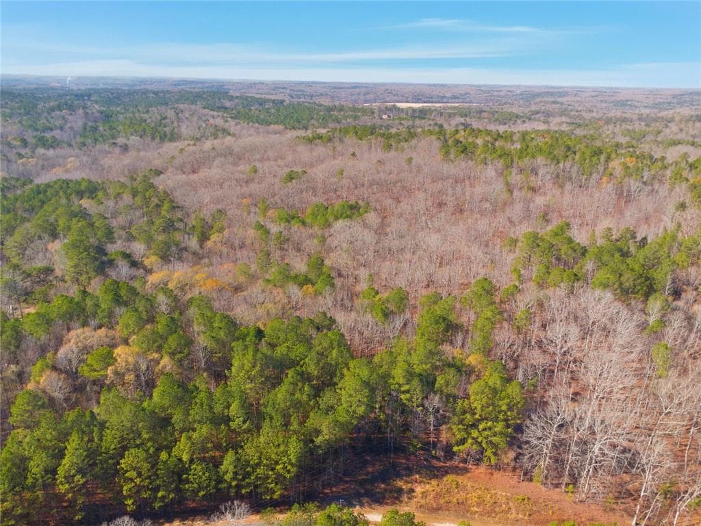unimproved land for sale at 0 Creel Road, Fairburn, GA 30213 — photo 4