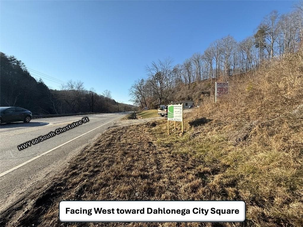 unimproved land for sale at 5195 South Chestatee Street, Dahlonega, GA 30533 — photo 5