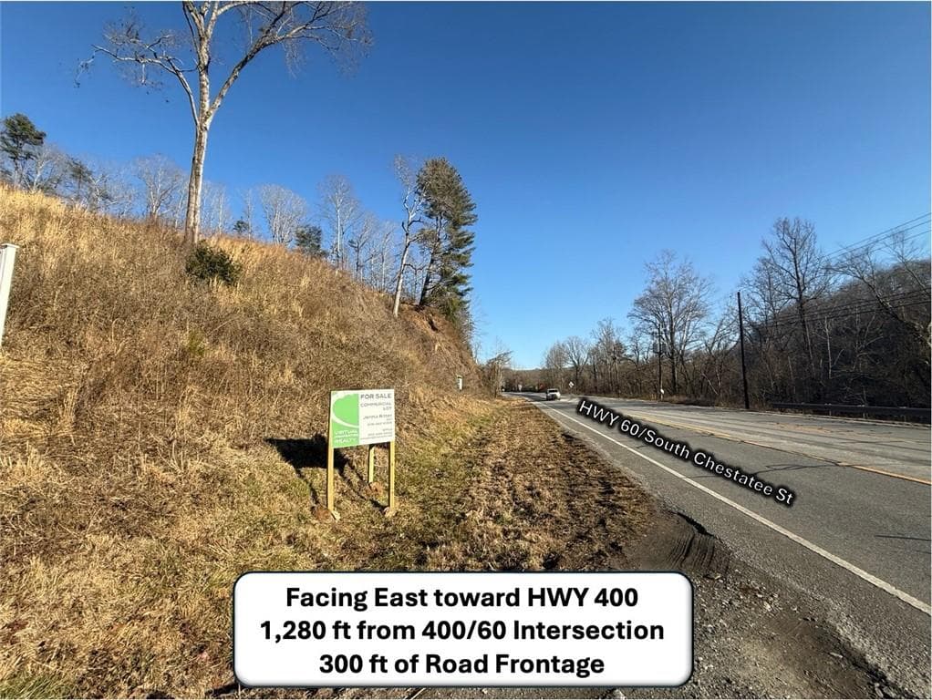unimproved land for sale at 5195 South Chestatee Street, Dahlonega, GA 30533 — photo 6