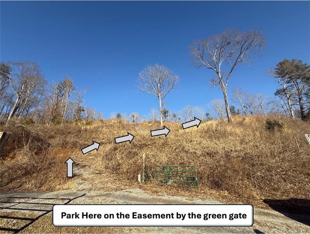 unimproved land for sale at 5195 South Chestatee Street, Dahlonega, GA 30533 — photo 7