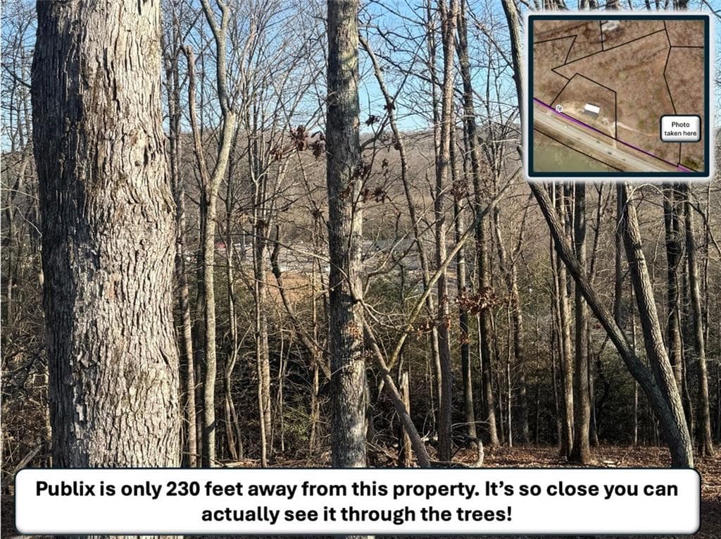 unimproved land for sale at 5195 South Chestatee Street, Dahlonega, GA 30533 — photo 8