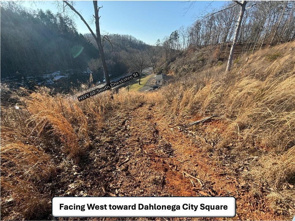 unimproved land for sale at 5195 South Chestatee Street, Dahlonega, GA 30533 — photo 9