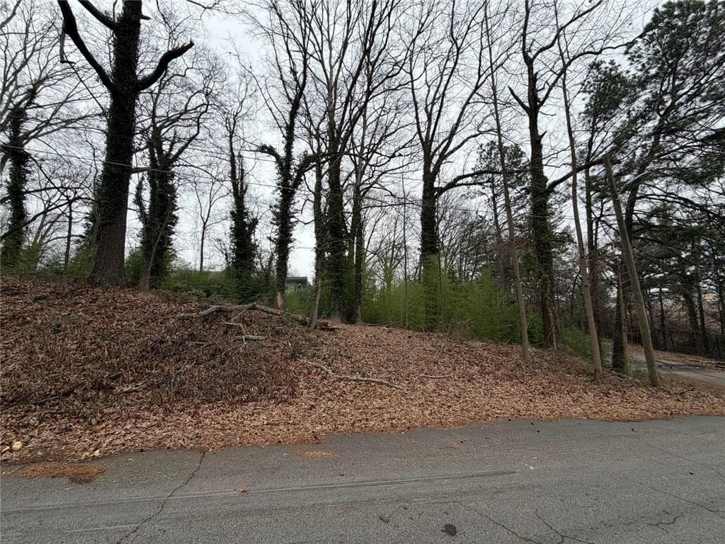 unimproved land for sale at 1810 Alma Street, Atlanta, GA 30318 — photo 2