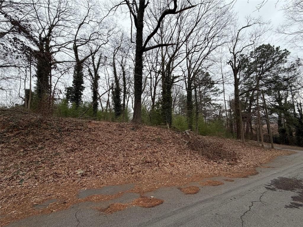 unimproved land for sale at 1810 Alma Street, Atlanta, GA 30318 — photo 3