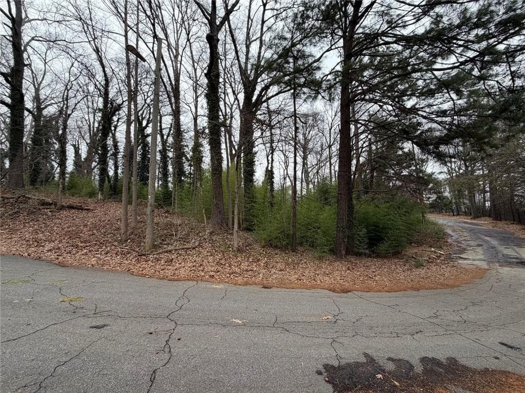 unimproved land for sale at 1810 Alma Street, Atlanta, GA 30318 — photo 4