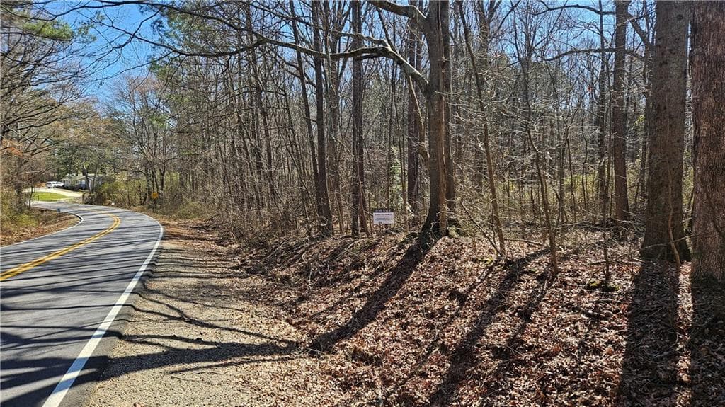 unimproved land for sale at 0 Cook Drive, Ellenwood, GA 30294 — photo 1 of 6