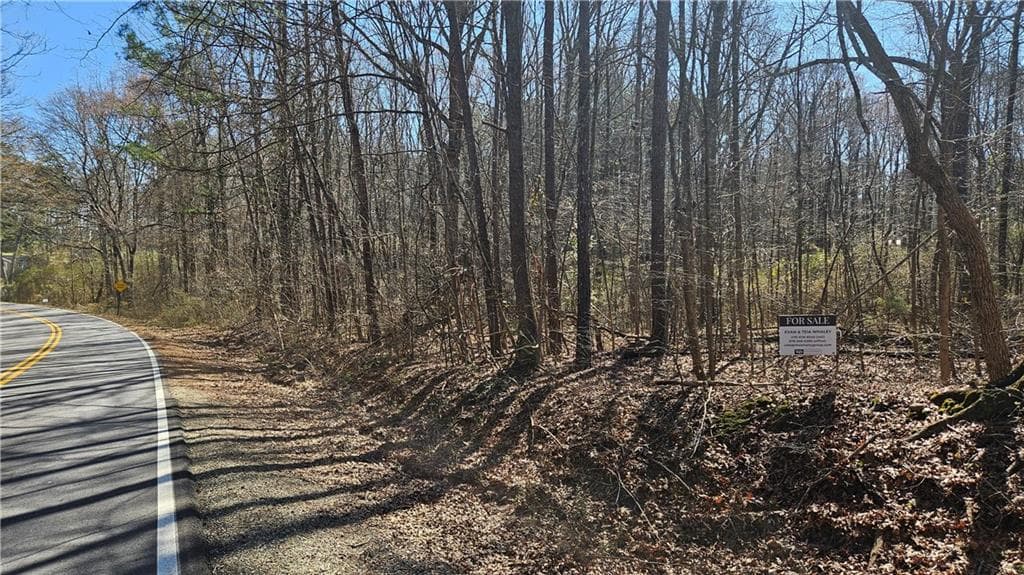 unimproved land for sale at 0 Cook Drive, Ellenwood, GA 30294 — photo 2