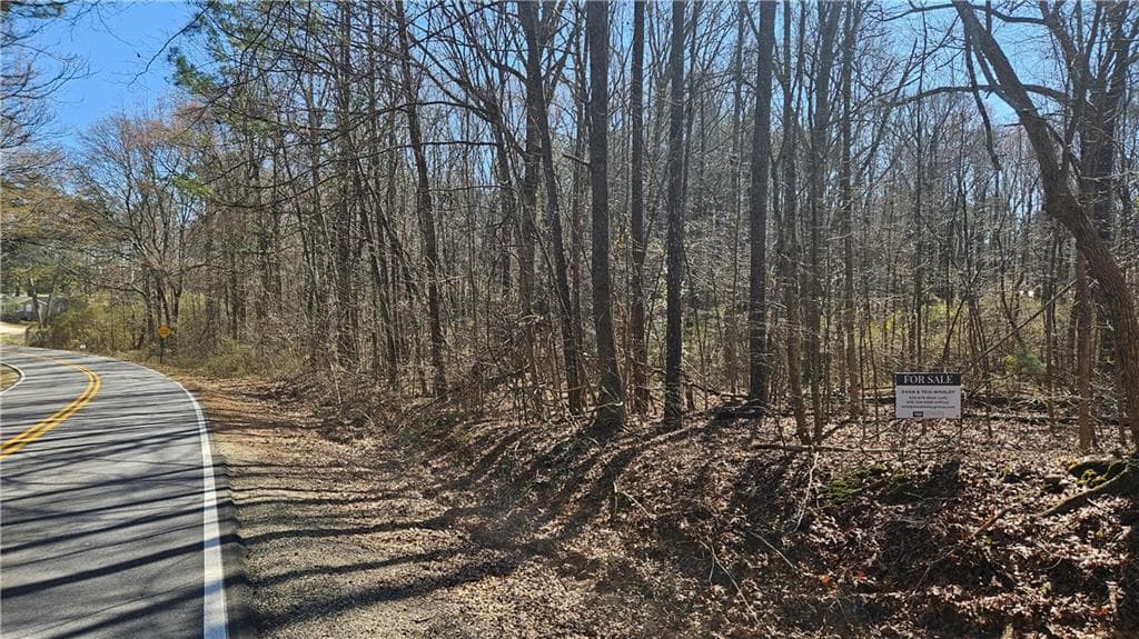 unimproved land for sale at 0 Cook Drive, Ellenwood, GA 30294 — photo 3