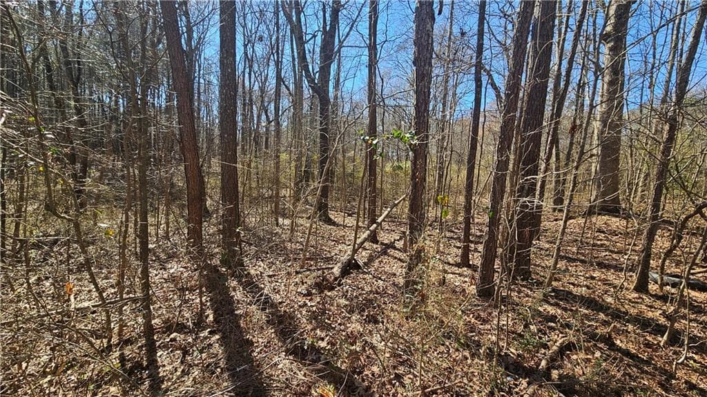 unimproved land for sale at 0 Cook Drive, Ellenwood, GA 30294 — photo 4
