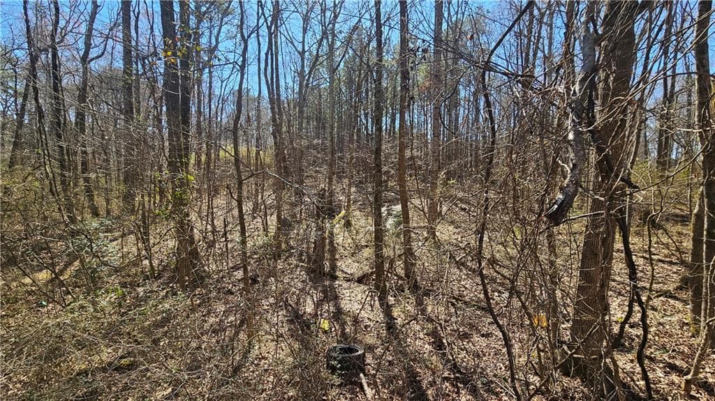 unimproved land for sale at 0 Cook Drive, Ellenwood, GA 30294 — photo 5