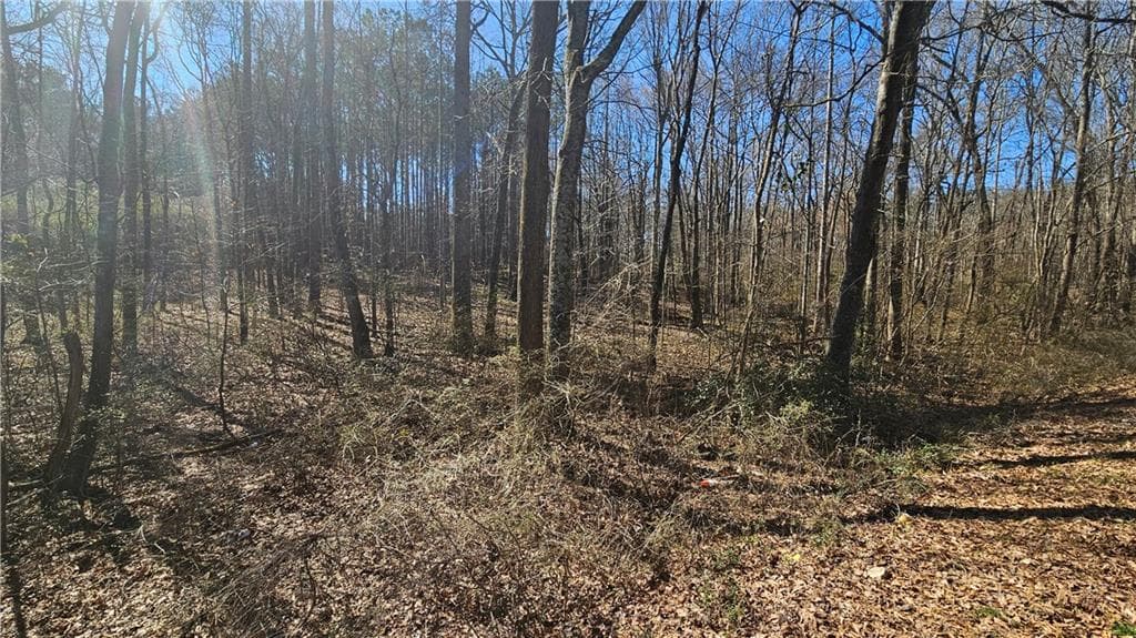unimproved land for sale at 0 Cook Drive, Ellenwood, GA 30294 — photo 6