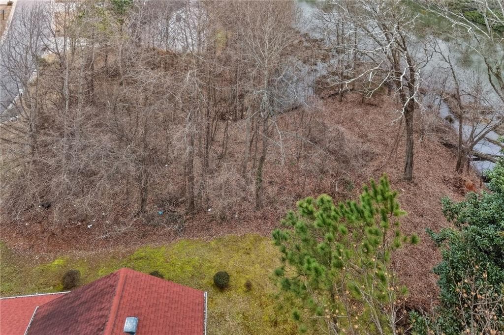 unimproved land for sale at 0 Nellie Brook Drive, Mableton, GA 30126 — photo 4