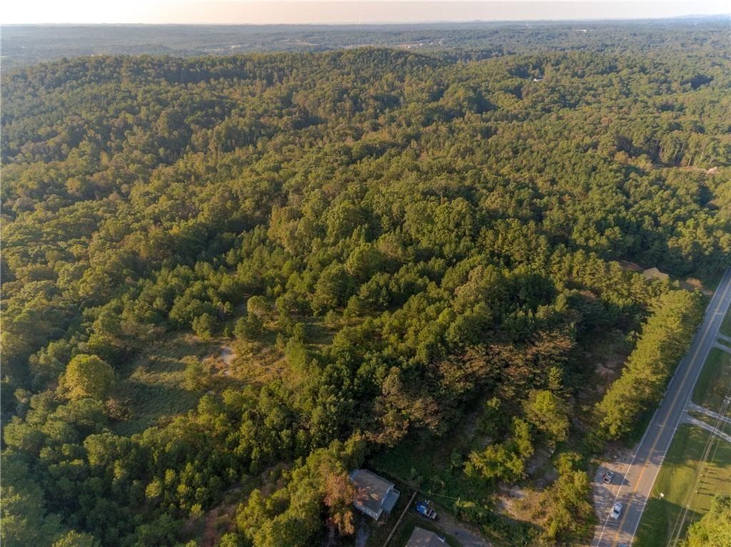 other for sale at 1428 Bobo Road, Dallas, GA 30132 — photo 3