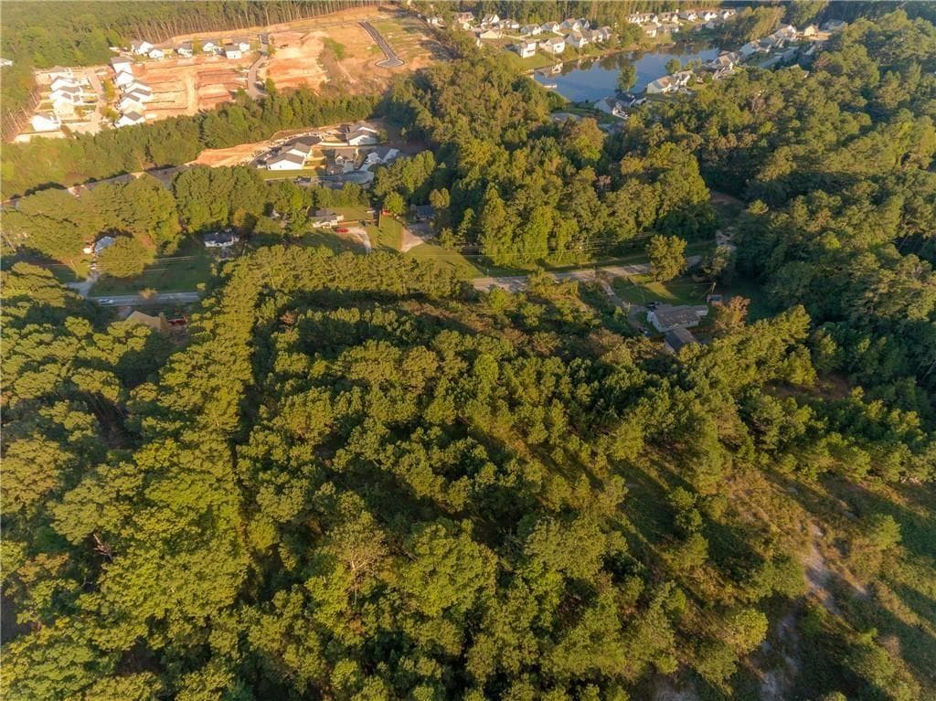 other for sale at 1428 Bobo Road, Dallas, GA 30132 — photo 6