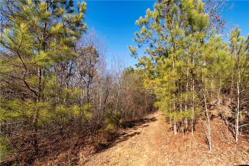 other for sale at 0 Sam Sutton Road, Adairsville, GA 30103 — photo 9