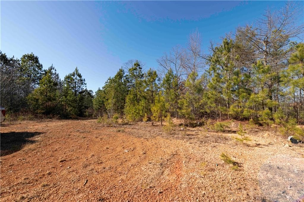 other for sale at 0 Sam Sutton Road, Adairsville, GA 30103 — photo 10