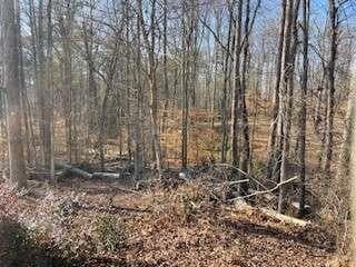 single family residence for sale at 225 Standing Oak Place, Fayetteville, GA 30214 — photo 4