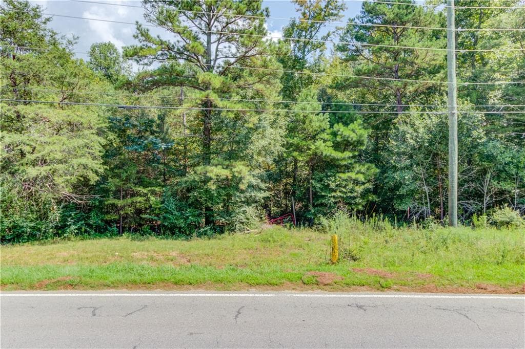 unimproved land for sale at 7207 Spout Springs Road, Flowery Branch, GA 30542 — photo 3
