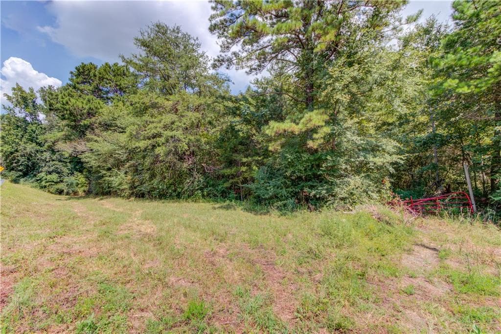 unimproved land for sale at 7207 Spout Springs Road, Flowery Branch, GA 30542 — photo 7