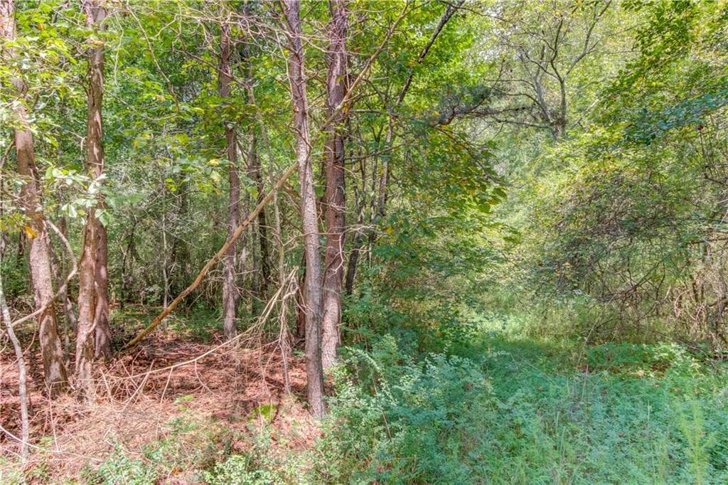 unimproved land for sale at 7207 Spout Springs Road, Flowery Branch, GA 30542 — photo 8