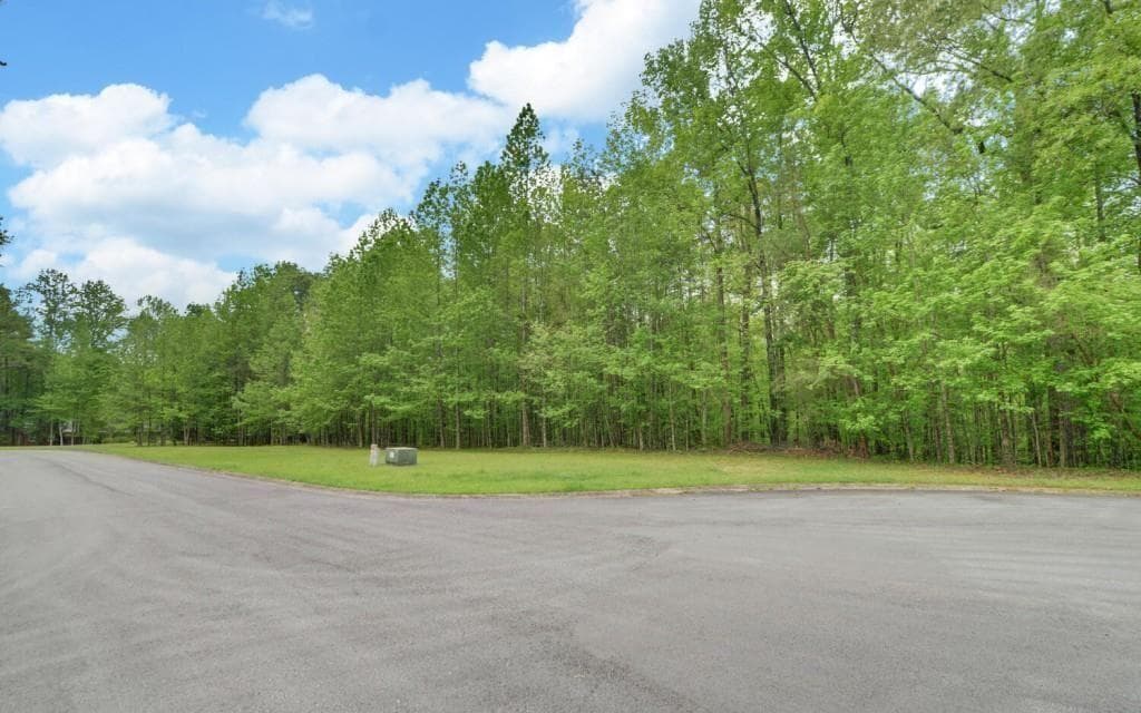 other for sale at 0 Honey Tree Terrace, Dahlonega, GA 30533 — photo 3