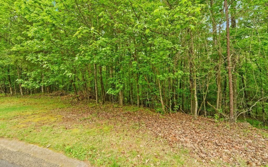 other for sale at 0 Honey Tree Terrace, Dahlonega, GA 30533 — photo 5
