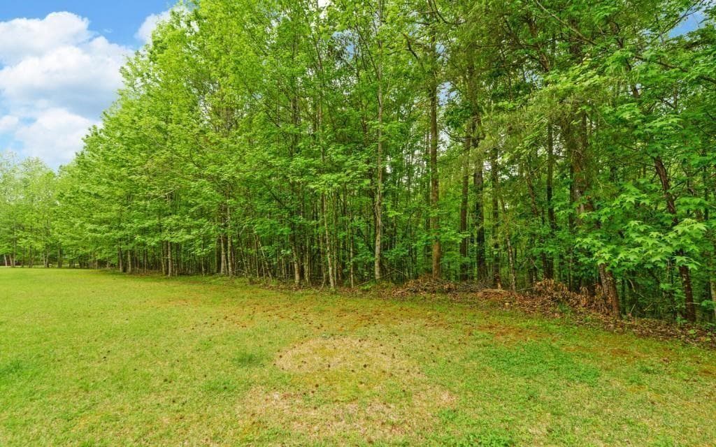 other for sale at 0 Honey Tree Terrace, Dahlonega, GA 30533 — photo 6