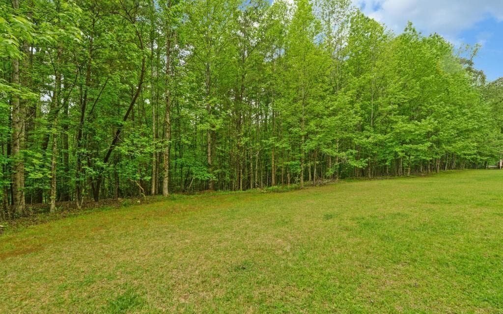 other for sale at 0 Honey Tree Terrace, Dahlonega, GA 30533 — photo 8