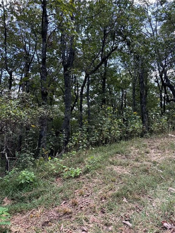 single family residence for sale at 0 Little Hendricks Mountain, Jasper, GA 30143 — photo 2