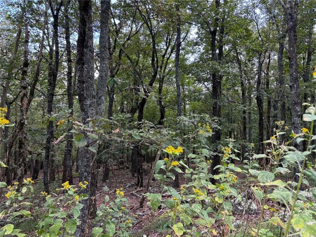 single family residence for sale at 0 Little Hendricks Mountain, Jasper, GA 30143