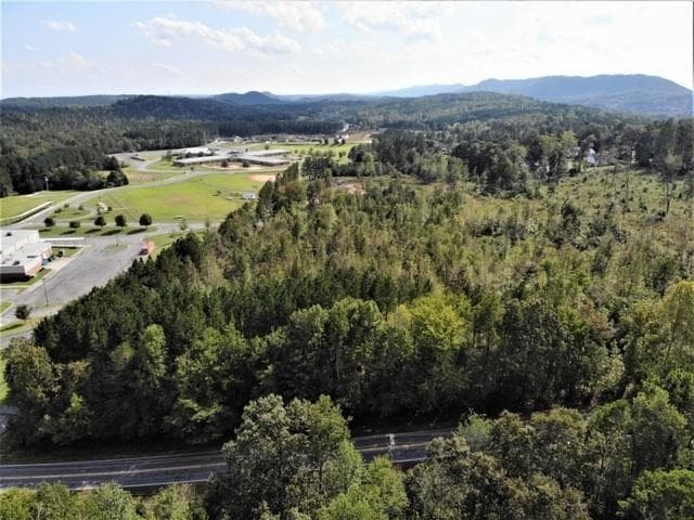 unimproved land for sale at 0 Tunnel Hill Varnell Road, Dalton, GA 30721 — photo 4