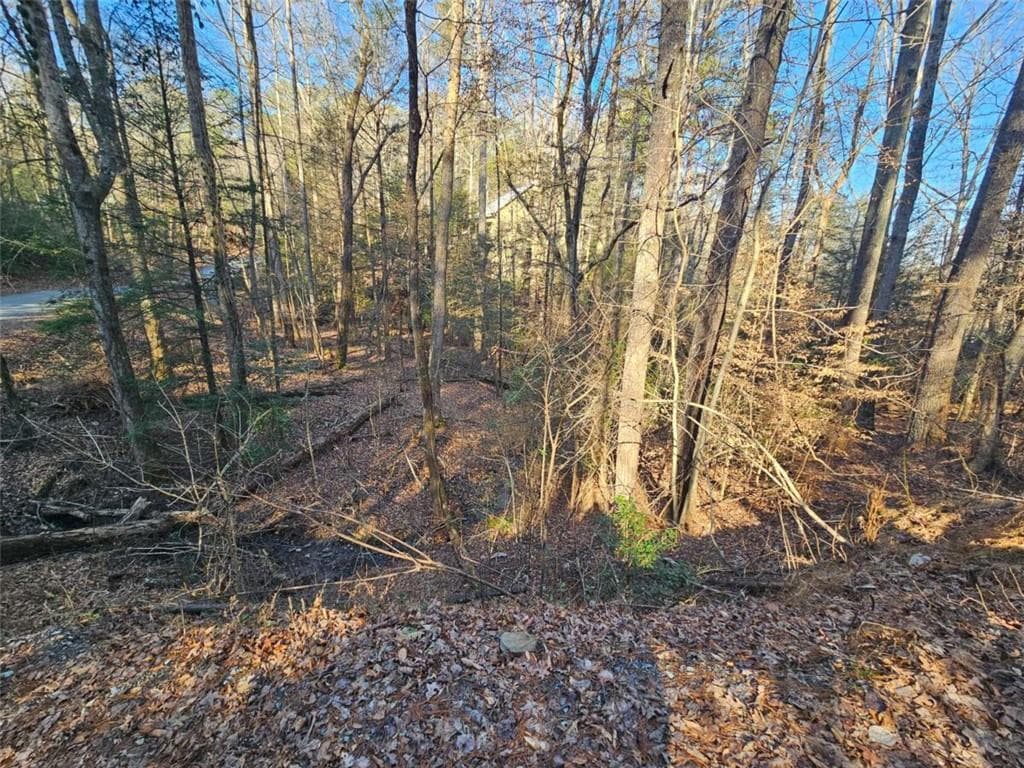 single family residence for sale at LT 162 Nexus Drive, Ellijay, GA 30540 — photo 2