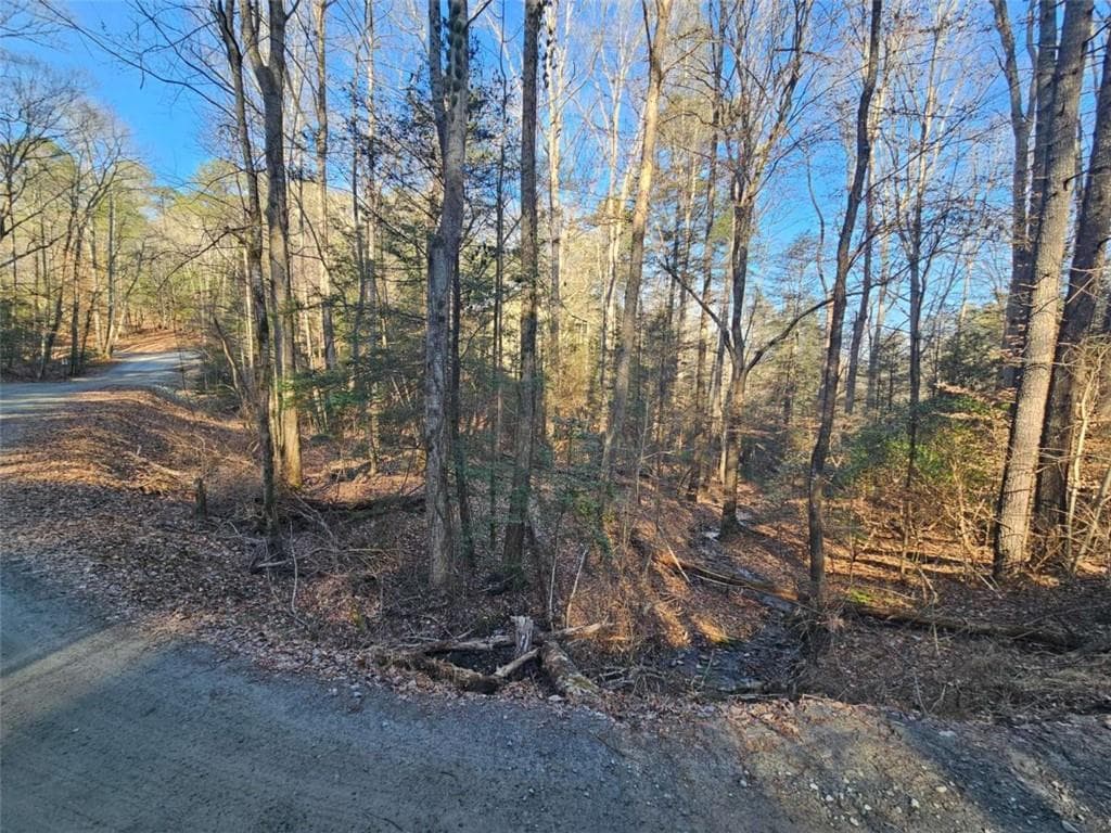 single family residence for sale at LT 162 Nexus Drive, Ellijay, GA 30540 — photo 3