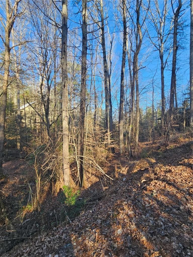 single family residence for sale at LT 162 Nexus Drive, Ellijay, GA 30540 — photo 4