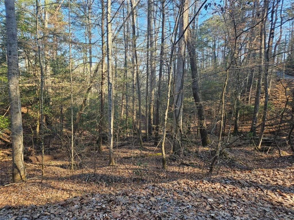 single family residence for sale at LT 162 Nexus Drive, Ellijay, GA 30540 — photo 5