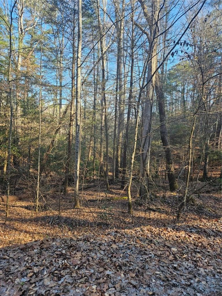 single family residence for sale at LT 162 Nexus Drive, Ellijay, GA 30540 — photo 6