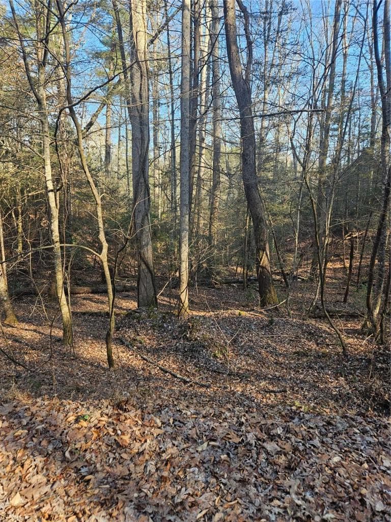 single family residence for sale at LT 162 Nexus Drive, Ellijay, GA 30540 — photo 7
