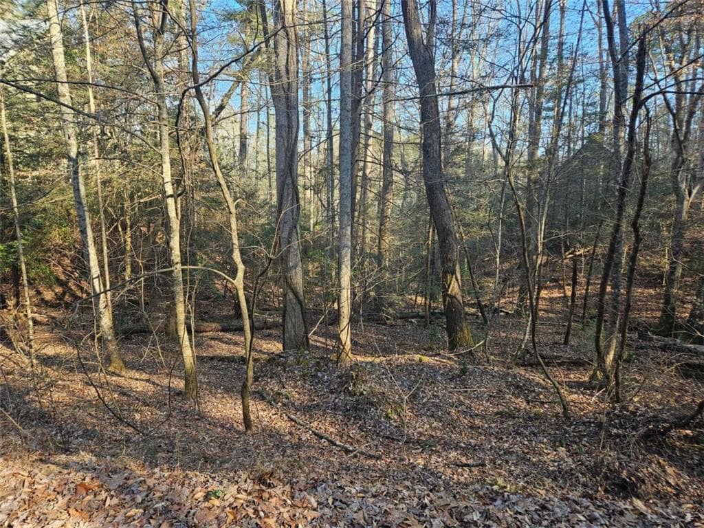 single family residence for sale at LT 162 Nexus Drive, Ellijay, GA 30540 — photo 8
