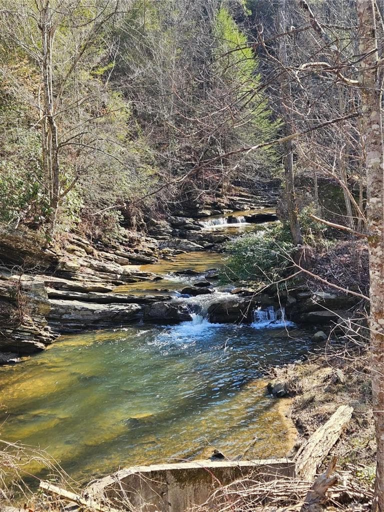 single family residence for sale at LT 162 Nexus Drive, Ellijay, GA 30540 — photo 10