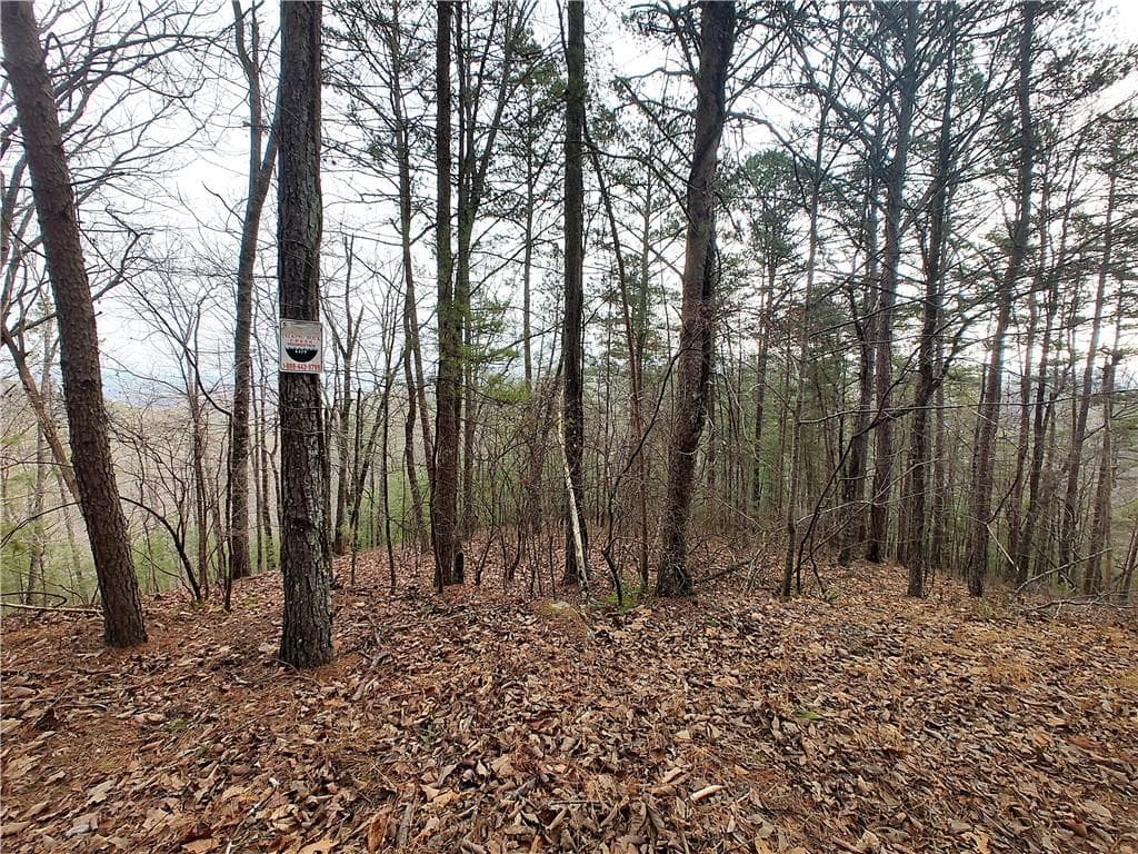 single family residence for sale at 1036 Astro Court, Ranger, GA 30734 — photo 4