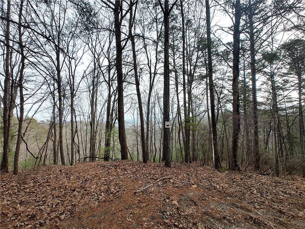 single family residence for sale at 1036 Astro Court, Ranger, GA 30734 — photo 5