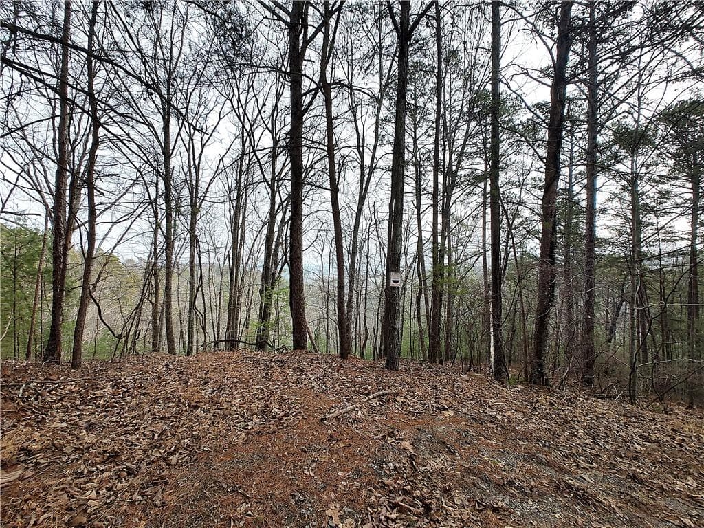 single family residence for sale at 1036 Astro Court, Ranger, GA 30734 — photo 6