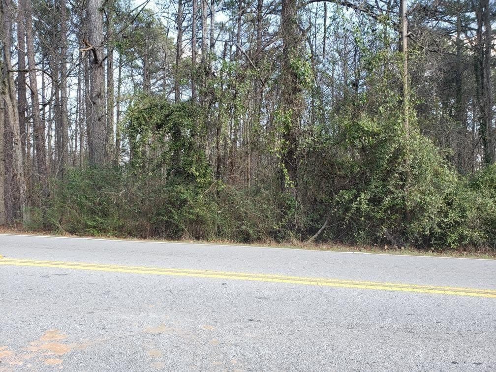 other for sale at 0 Pope Road, Douglasville, GA 30135 — photo 2