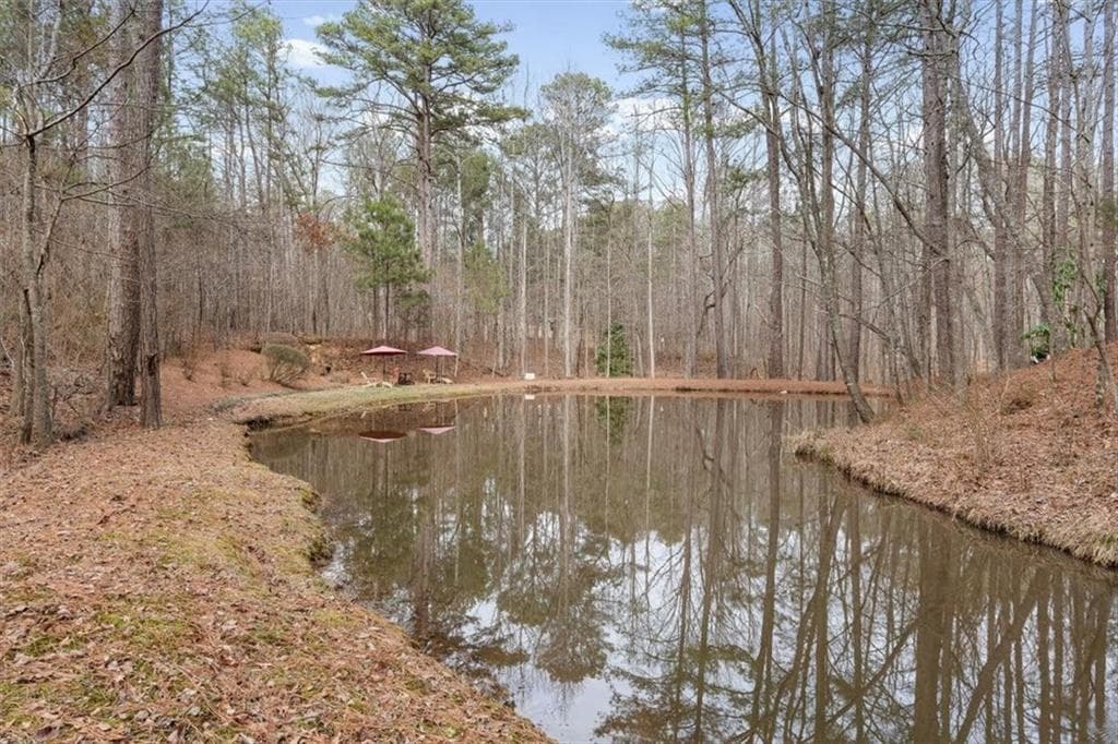 455 M Sanders Road, Buchanan, GA 30113 — most recent listing photo