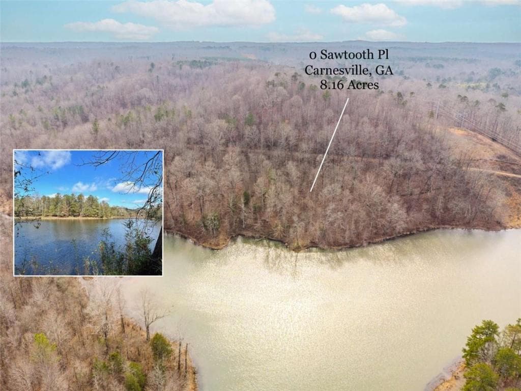 unimproved land for sale at 00 Sawtooth Place, Carnesville, GA 30521 — photo 1 of 19