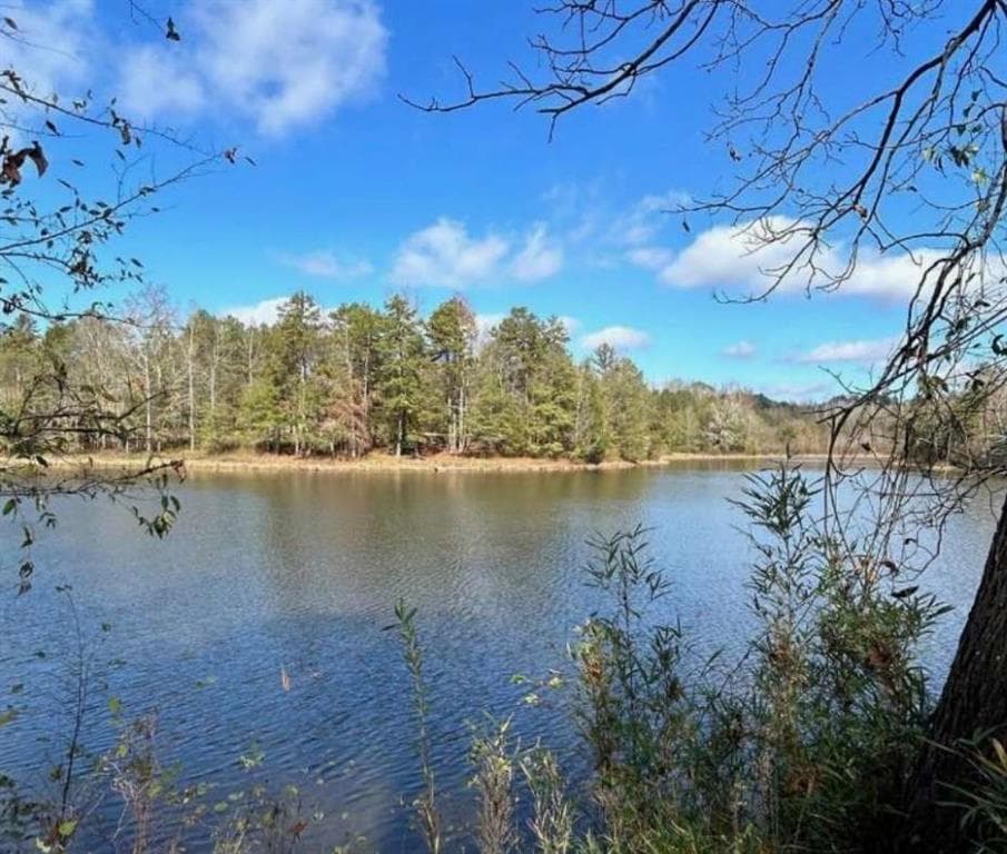unimproved land for sale at 00 Sawtooth Place, Carnesville, GA 30521 — photo 5