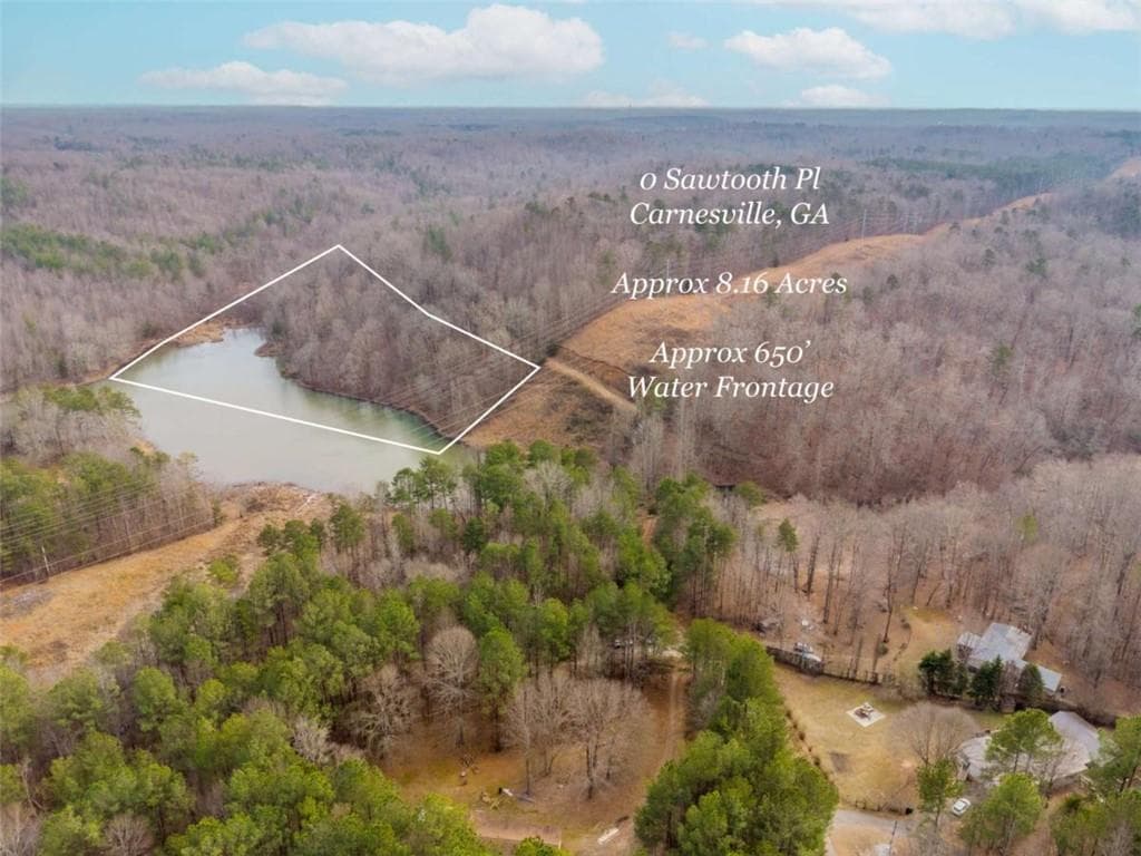 unimproved land for sale at 00 Sawtooth Place, Carnesville, GA 30521 — photo 6