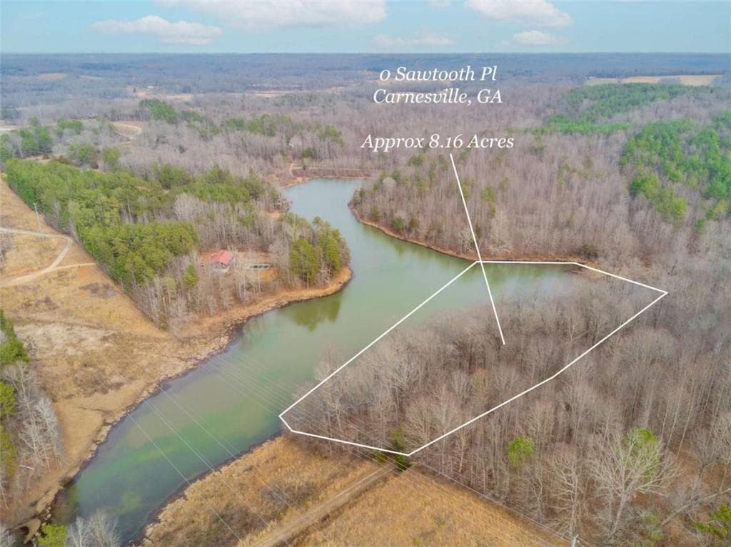 unimproved land for sale at 00 Sawtooth Place, Carnesville, GA 30521 — photo 7