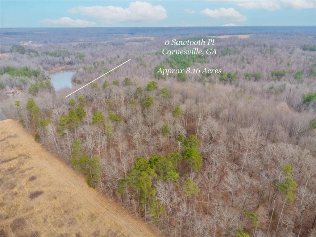 unimproved land for sale at 00 Sawtooth Place, Carnesville, GA 30521 — photo 8